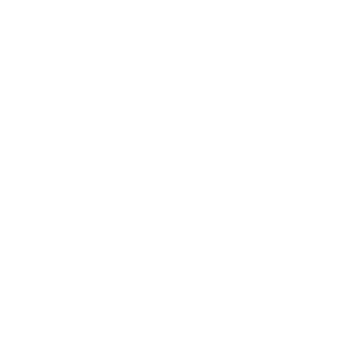 Analytisch icon