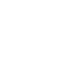 Beratung icon