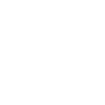 Erfahrung icon
