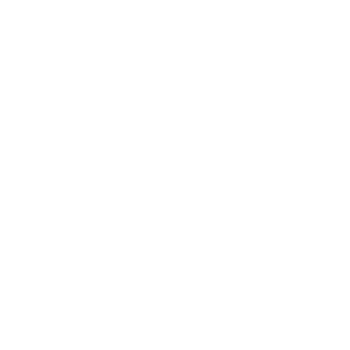 Reisen icon